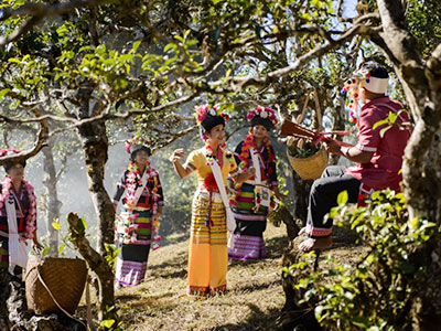 西双版纳勐海县“茶文化旅游环线”茶旅融合精品线路