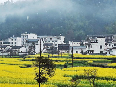 婺源：茶旅融合助力产业振兴