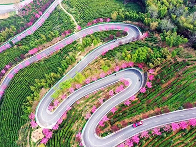 茶乡风情游（蒋家坪—长安女娲茶镇—龙头村—桃花溪）