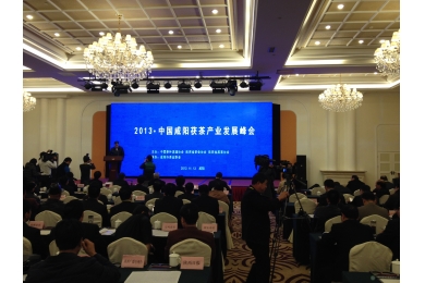 2013•中国咸阳茯茶产业发展峰会成功举办