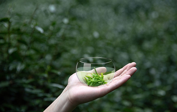 全球茶叶消费概况简析（二）