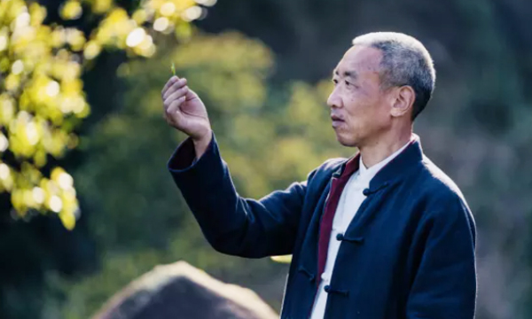 传承，成白茶味道，坚守，铸品牌力量！