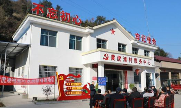 常德石门县黄虎港村：种茶不再难 茶叶不愁卖