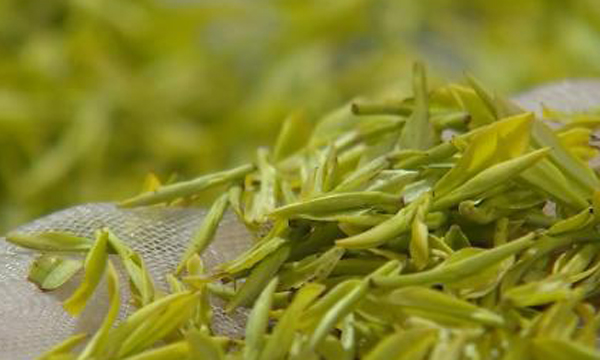 今年的“明前茶”上市了吗？