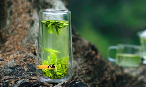 直击西湖龙井“天花板”，与乾隆来一场30米距离的对话！