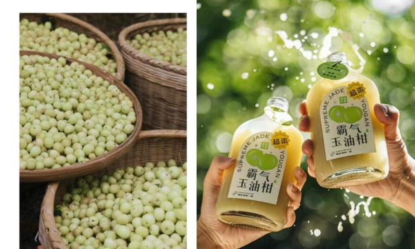 奈雪的茶大幅降价10元 承诺每月上新一款“1字头”产品