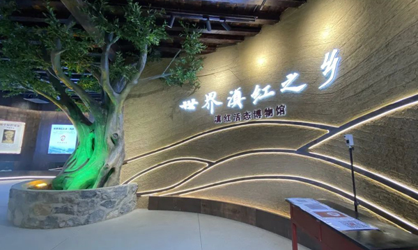 昌宁红集团凤庆安石茶厂变样啦！