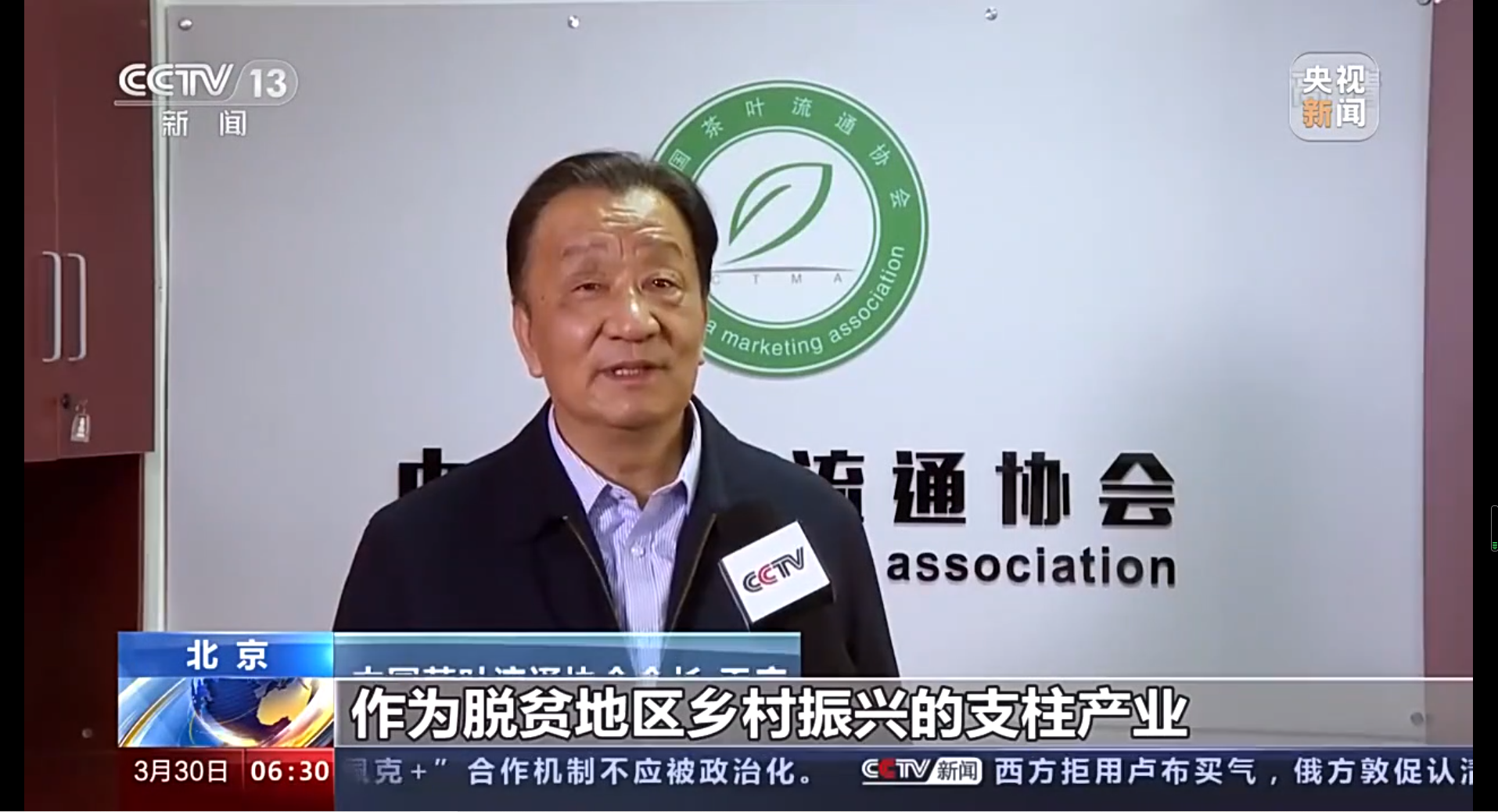 央视播出春茶情况