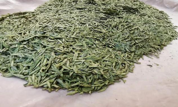 一斤茶叶3000元！明前茶当真这么好？喝到第一口新茶有点“不容易”