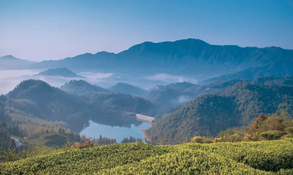 品品香：看！这大好河山