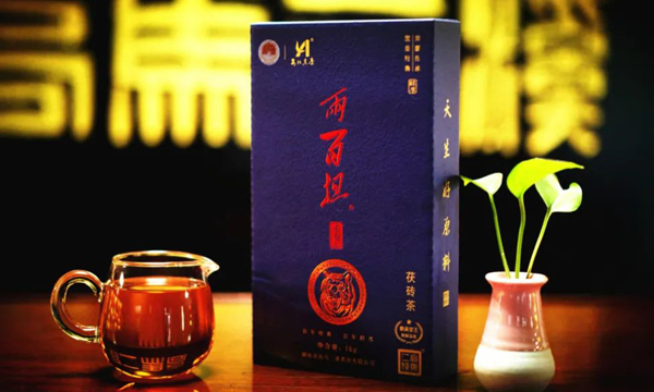 高马二溪茶业：2022两百担丨金花茂盛，是两百担意犹未尽的精彩