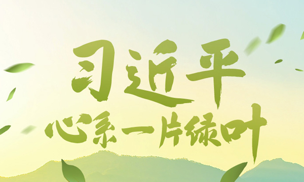 新华社手绘长图丨习近平心系一片绿叶