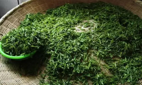 提质增效闯新路 再创“屯绿”名品牌