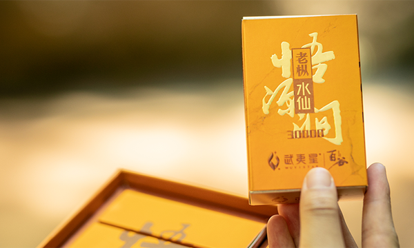 “国际茶日•产品篇”武夷星茶业：没人会在春天拒绝百谷