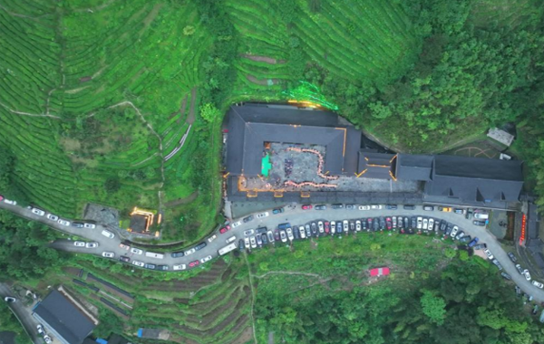 茶叶综合年产值达10亿元，中国工程院院士为湖南新化红茶代言