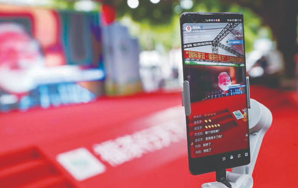 政策文化双助力 福茶产业攀高峰