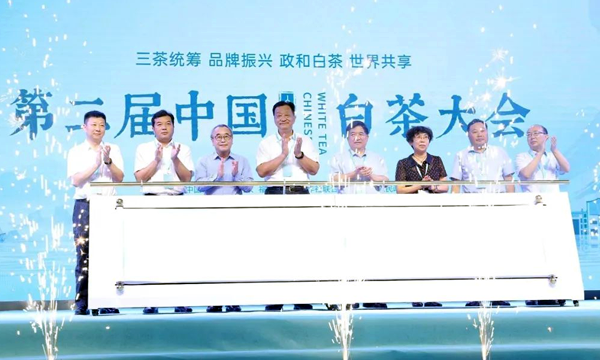 第二届中国白茶大会在福建政和开幕