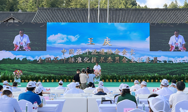 云顶茶香，品享健康 第七届“巴中云顶”茶文化旅游节圆满落幕