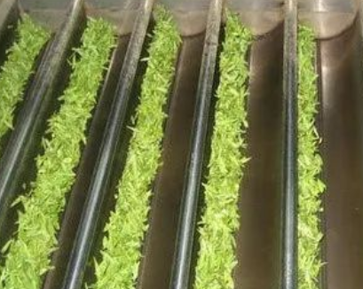 理条机上的乐章