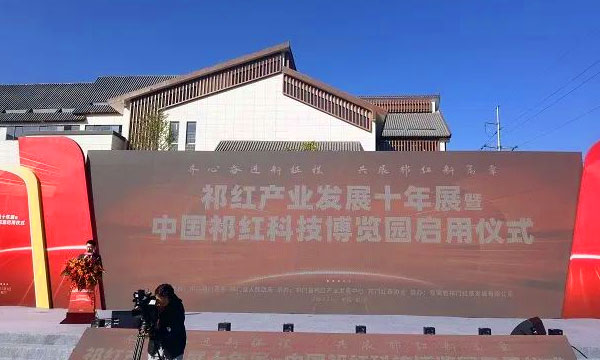 王庆会长应邀出席祁红科技博览园启用仪式