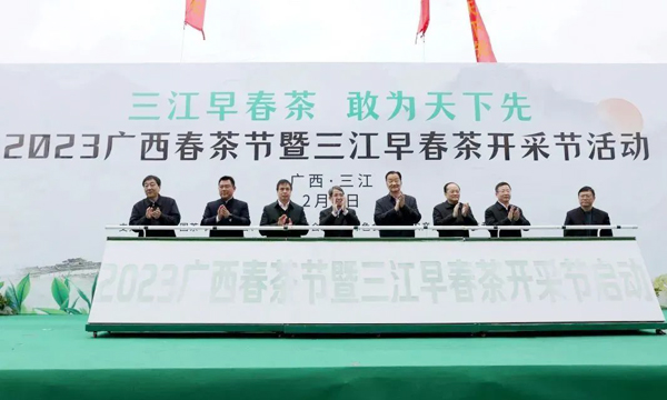 2023广西春茶节暨三江早春茶开采节启动