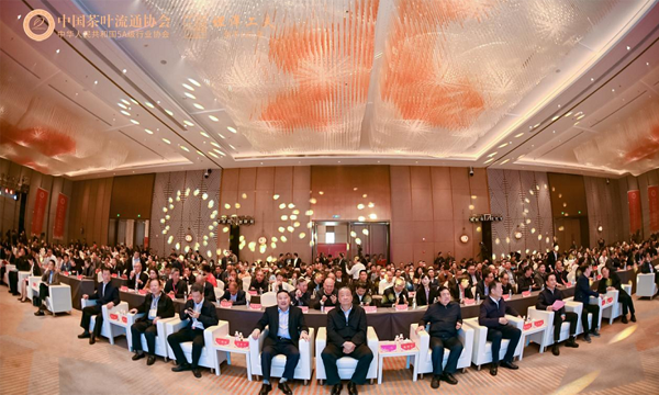 三月茶香遍闽地，四季坦红满福安--首届中国红茶大会盛大开幕