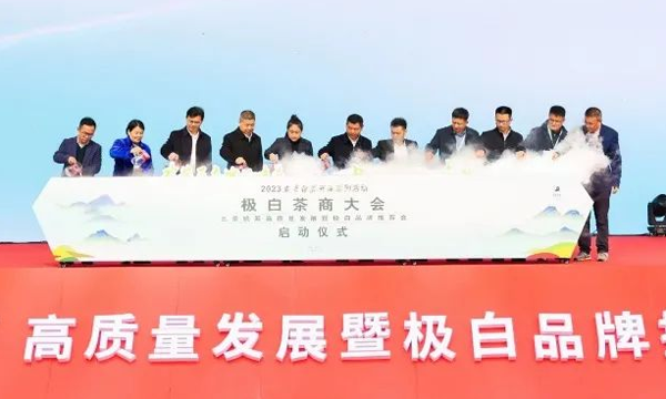 首届极白茶商大会成功召开，正式开启2023年茶季！