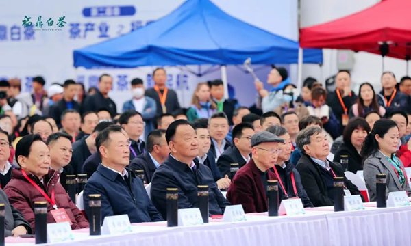 首届中国白茶交易大会盛大开幕