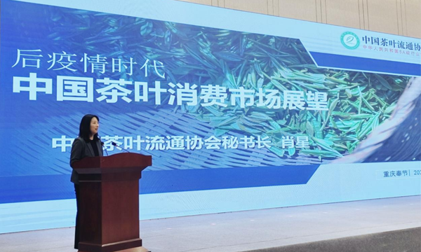 “奉节白茶香 助农新方向”奉节县2023年采茶节成功举办！