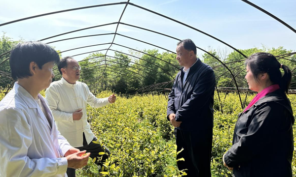 王庆会长深入溧阳茶叶产区走访会员，考察调研茶产业