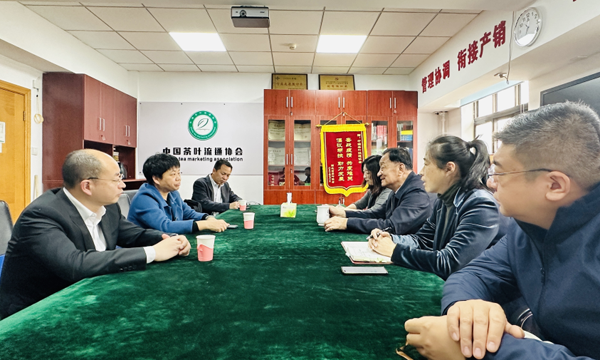 周宁县委副书记、县人民政府党组书记、县长陈文卿一行到访我会