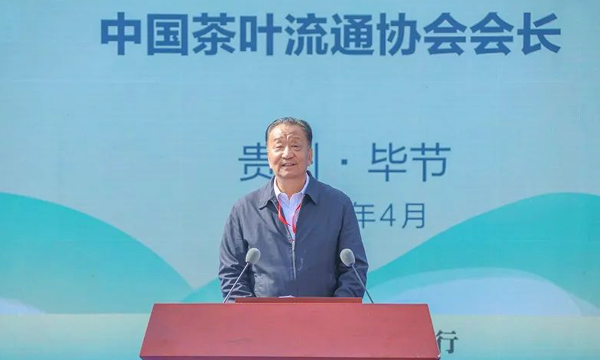 首届贵州古茶文化节在毕节盛大开幕