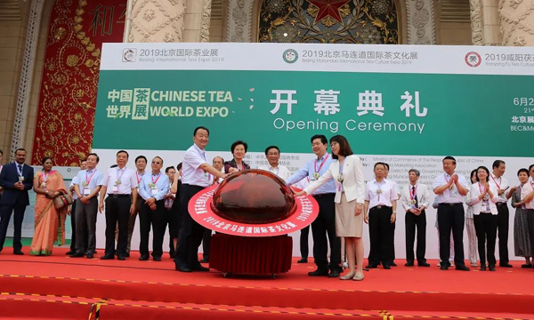 品茗论道，共襄盛会——“2023两展一节”如约而至！