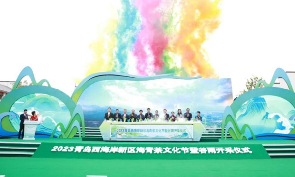 2023青岛西海岸新区海青茶文化节暨谷雨开采仪式成功举办