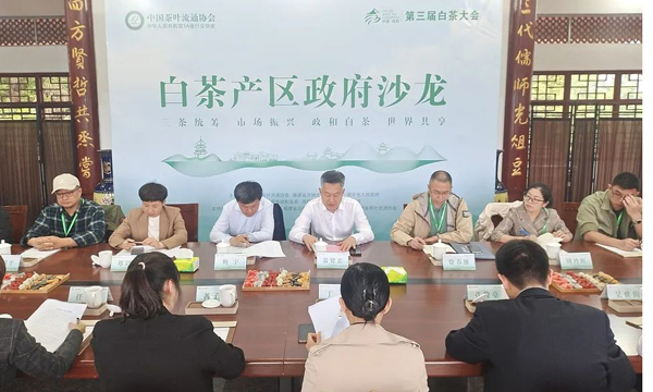 2023白茶产区政府沙龙成功举行