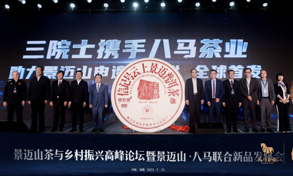 云南古树茶魅力何在？三大明珠在八马