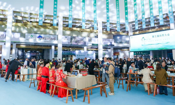 第三届白茶大会——2023白茶之夜成功举办