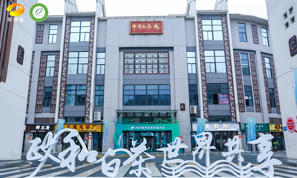 2023政和白茶交易大会等一系列活动顺利举行