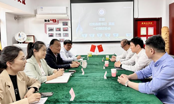 松阳县委书记莫靓一行到访我会