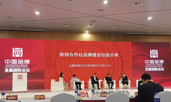 打造供销品牌 服务乡村振兴——中茶协应邀参加2023年中国品牌发展国际论坛供销合作社品牌建设分论坛