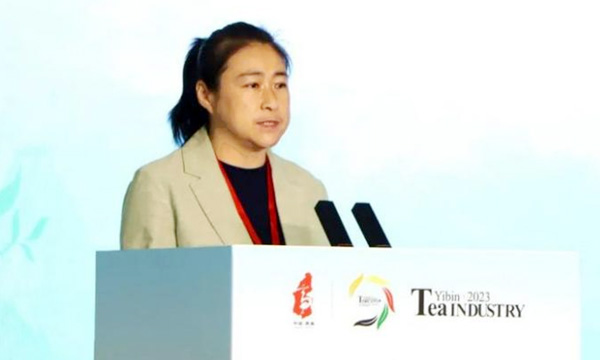 中茶协应邀参加高县茶产业专场推介会