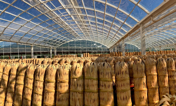 传承茶文化 助推茶产业白沙溪携手北京国际茶业展再谱新篇