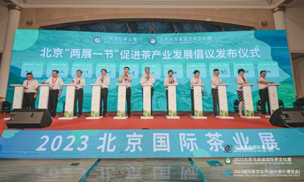 十年砥砺前行，铸就今日辉煌——“两展一节”十周年回顾