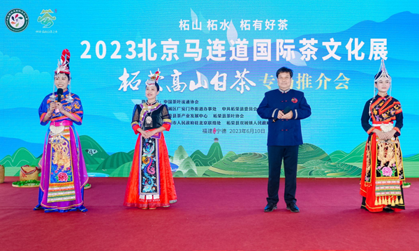 2023北京马连道国际茶文化展柘荣高山白茶展示推介活动隆重启幕