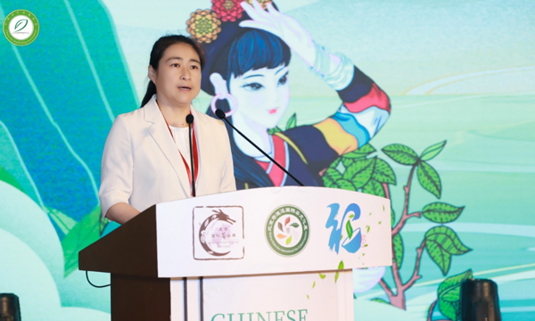 云茶对话系列活动——“普洱茶与瓷器的对话”成功举办