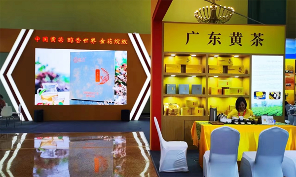 广东黄茶亮相2023北京国际茶展，独特风味获得现场茶客青睐