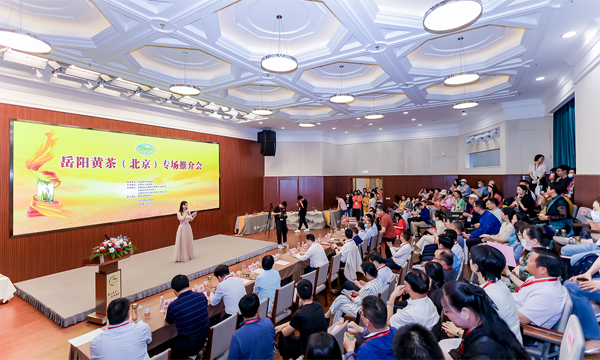 黄茶看岳阳 精品靓京城