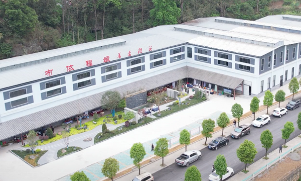 新会员风采|贵州布依福娘茶业文化发展有限公司