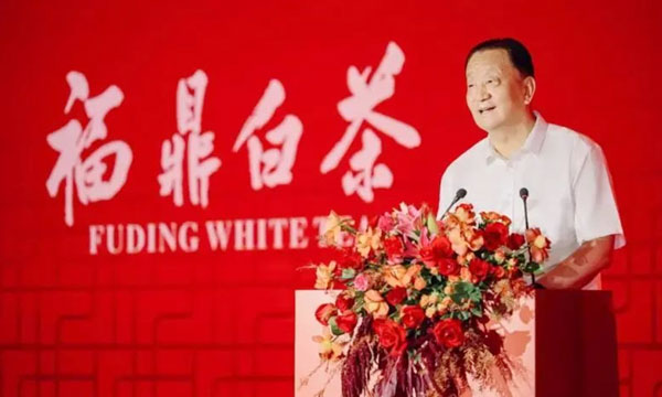 福鼎白茶高质量发展暨顺茗道白茶风味质量分享会成功举办