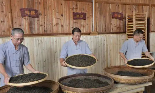 “坦洋工夫”新茶事 百年茶香飘四海